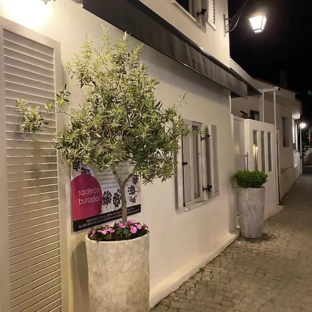 別荘 Design House In The Historic Center Of Sigacik *