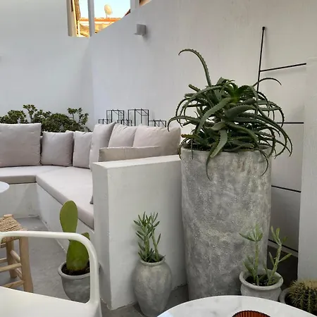 Design House In The Historic Center Of Sigacik セェフェリヒサール