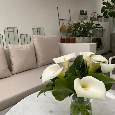 別荘 Design House In The Historic Center Of Sigacik *