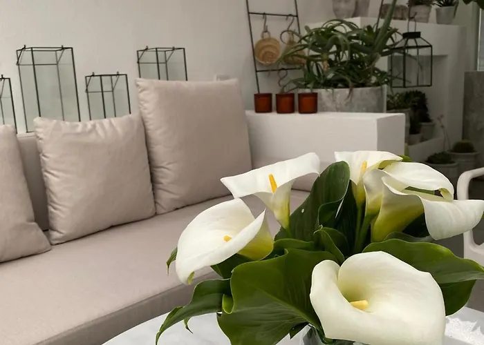 Holiday home Design House In The Historic Center Of Sigacik *